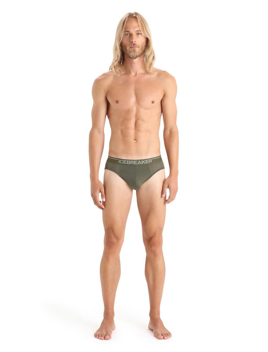 Loden Men's Icebreaker Merino Anatomica Briefs Underwear | USA 1297LISH